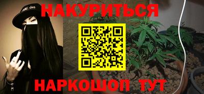 прущие крисы Камышлов