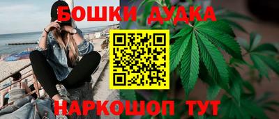 прущие крисы Камышлов