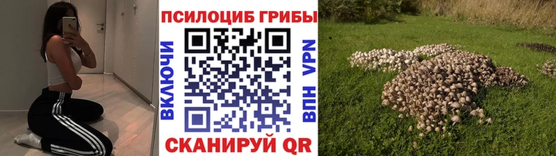 даркнет сайт  Петрозаводск  Псилоцибиновые грибы Psilocybine cubensis 
