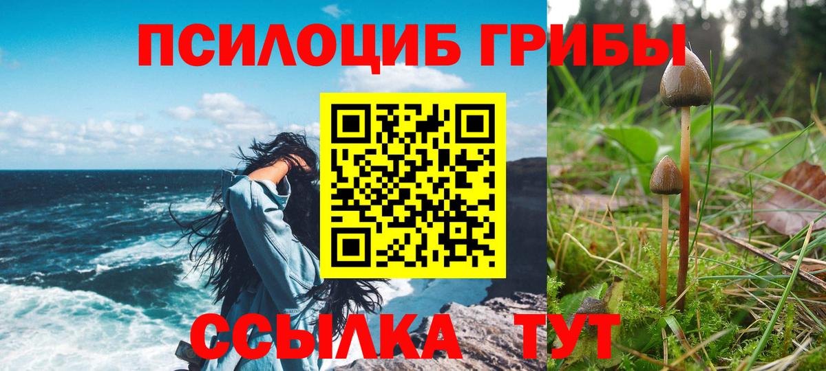 Петрозаводск  Галлюциногенные грибы прущие грибы  Вход с VPN 